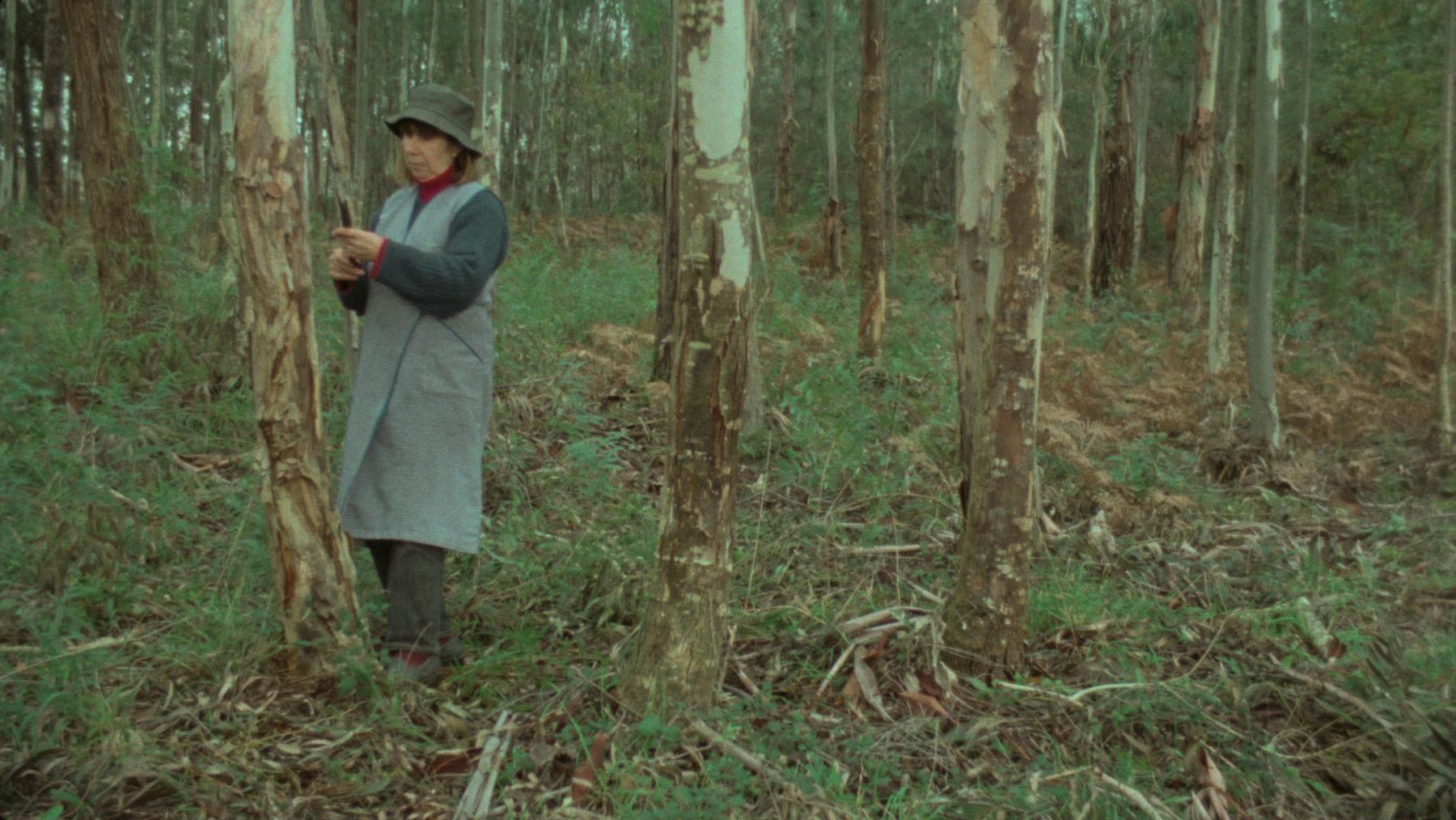 Bild 1 von Alboroque