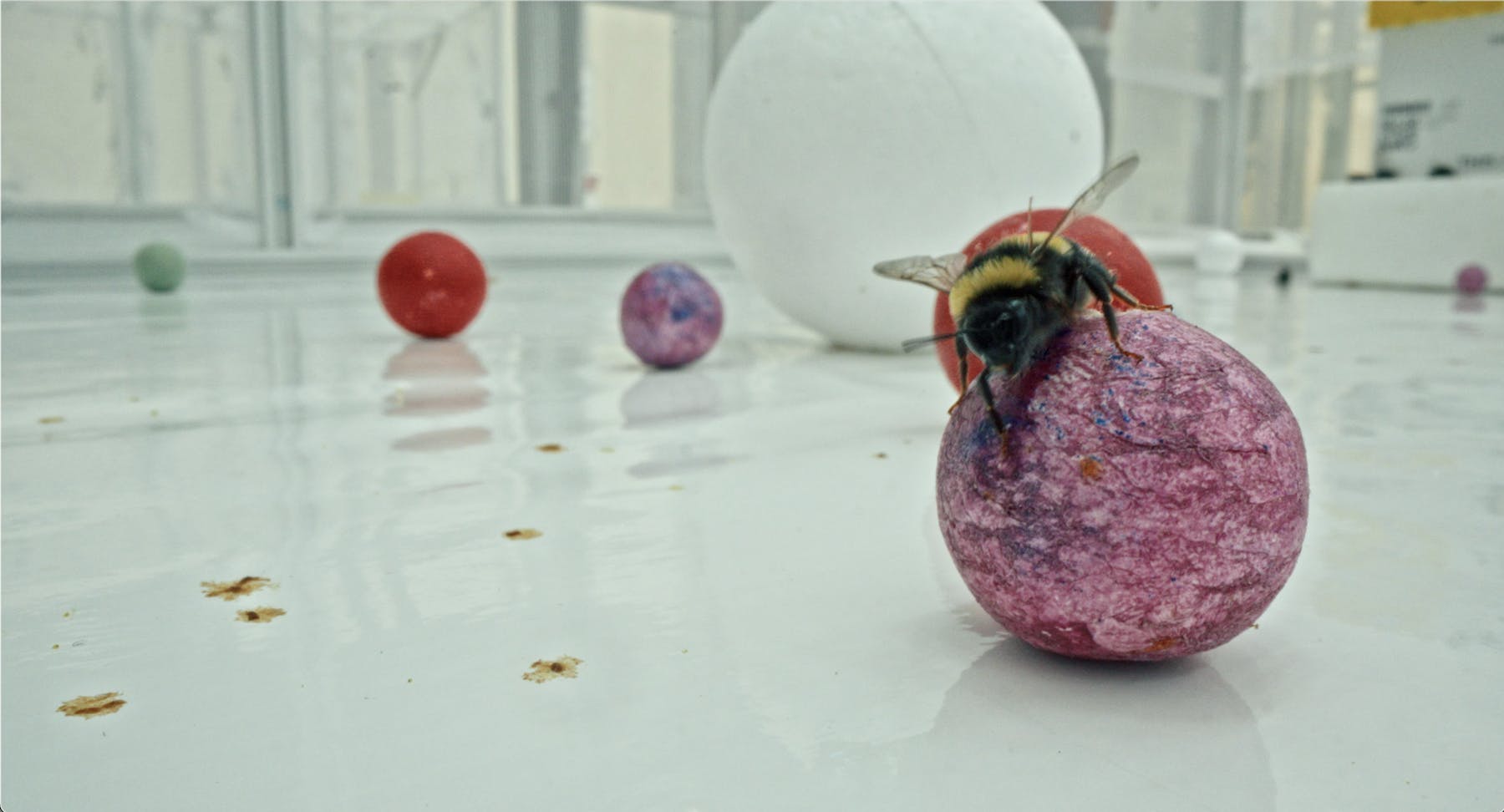 Bild 1 von Unter Pflanzen