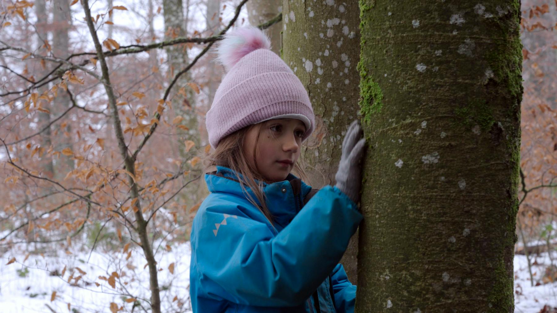 Bild 1 von Von Kindern und Bäumen – Ein Jahr in der Waldschule