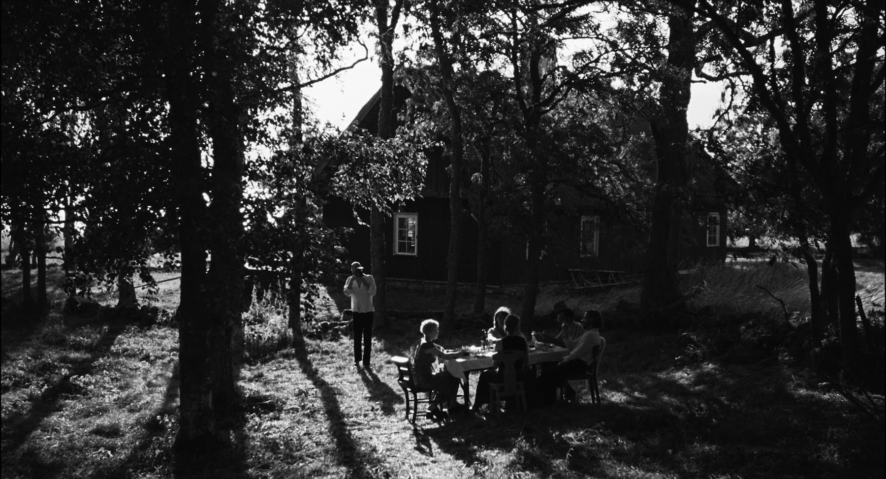 Image 1 de The Island